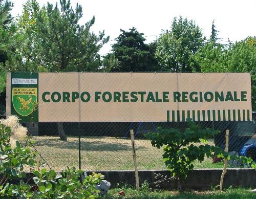  Il logo del Corpo Forestale Regionale